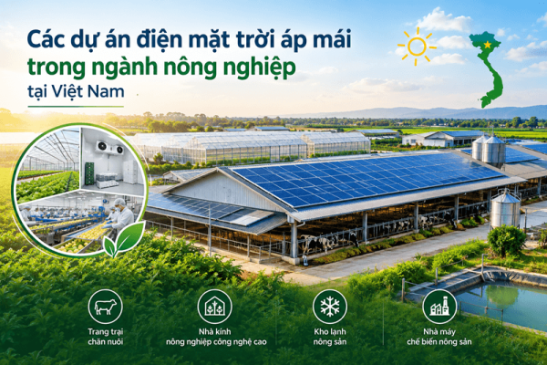 Ứng dụng điện mặt trời áp mái cho trang trại nông nghiệp công nghệ cao